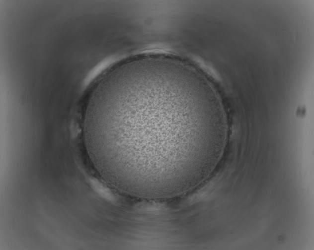 X0000092321400200709281357