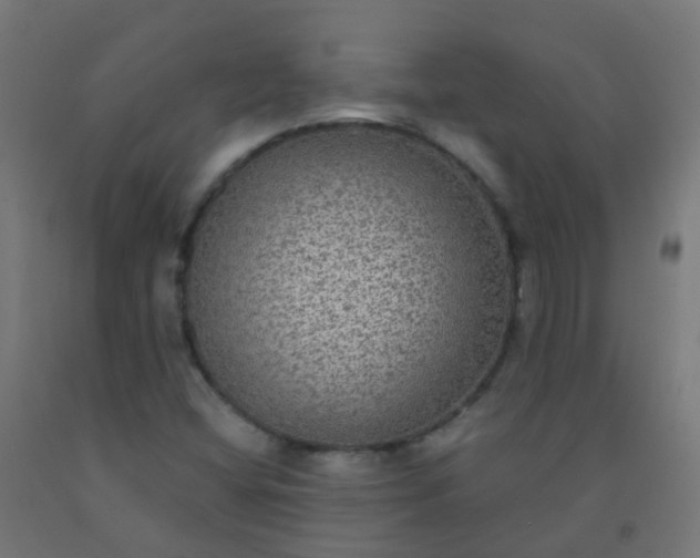 X0000092321404200709281357