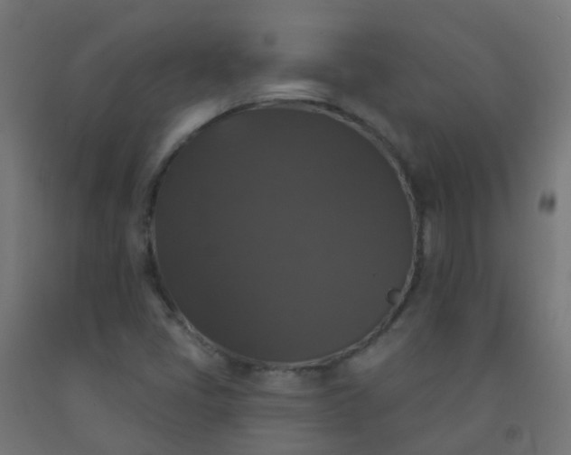 X0000092321405200709281357