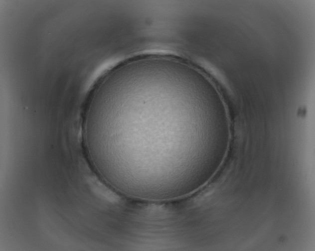 X0000092321408200709281357
