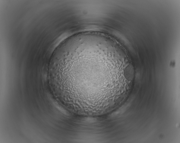 X0000092321409200709281357