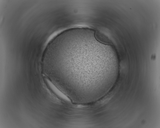 X0000092321412200709281357