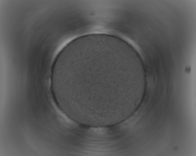 X0000092321415200709281357