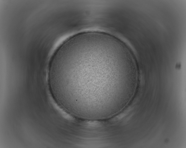X0000092321416200709281357