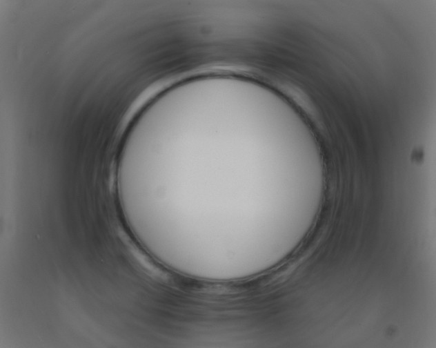 X0000092321420200709281357