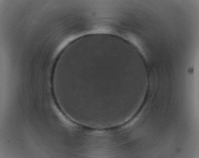 X0000092321422200709281357