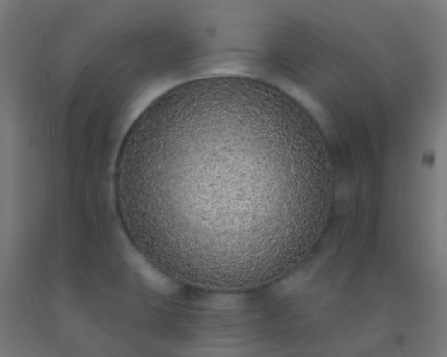X0000092321423200709281357