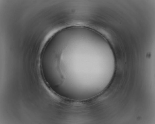 X0000092321424200709281357