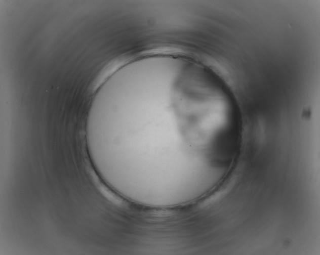 X0000092321425200709281357
