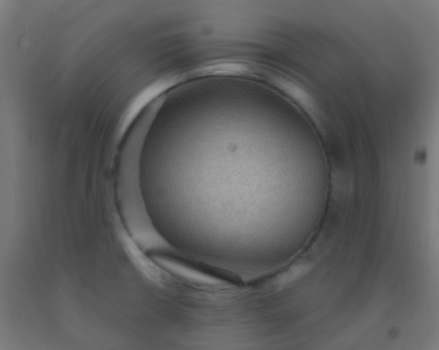X0000092321426200709281357