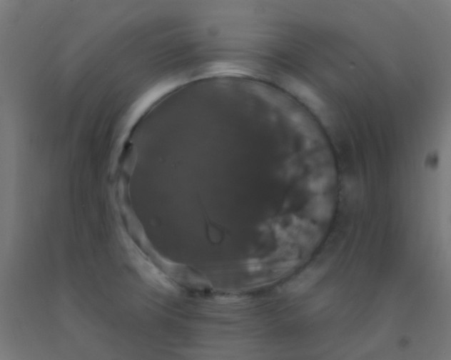 X0000092321427200709281357