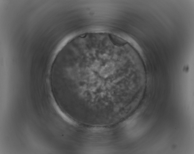 X0000092321429200709281357
