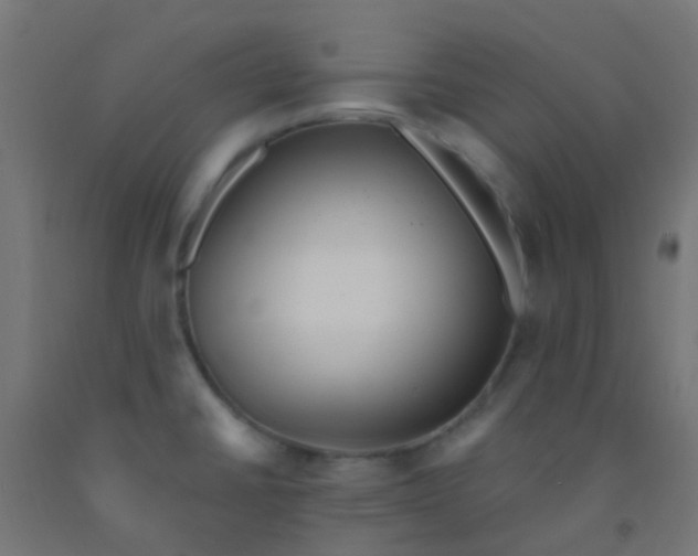 X0000092321430200709281357