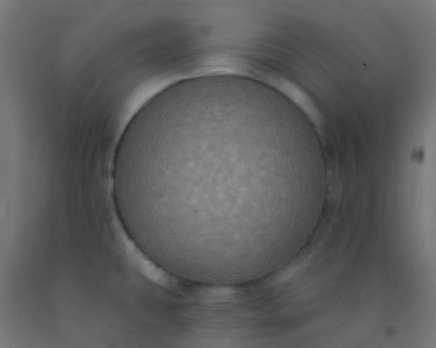 X0000092321431200709281357