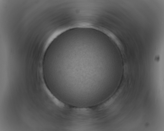 X0000092321432200709281357