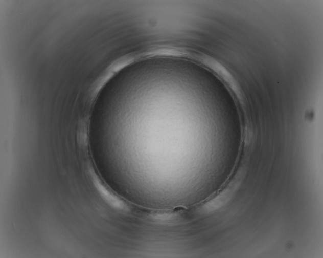 X0000092321433200709281357