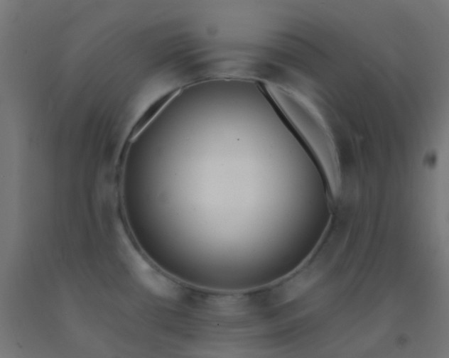X0000092321434200709281357