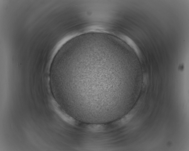 X0000092321435200709281357