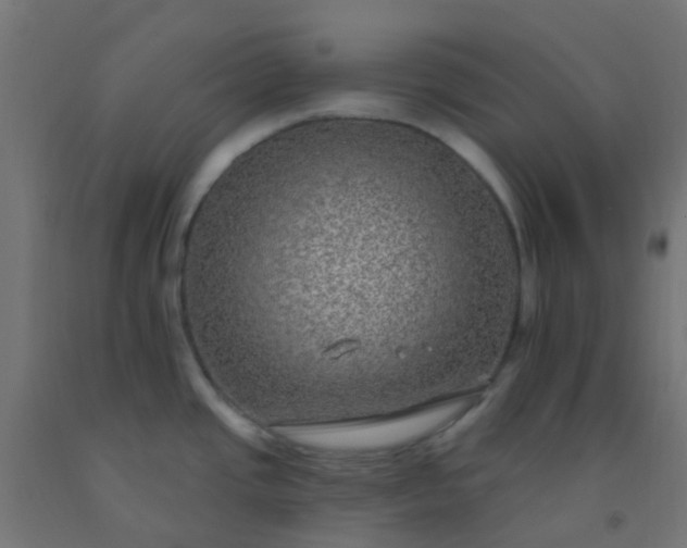 X0000092321437200709281357