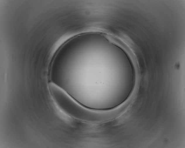 X0000092321438200709281358