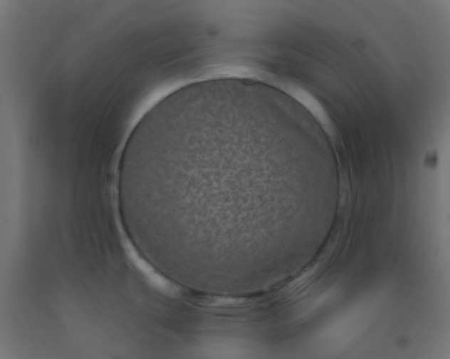 X0000092321439200709281358