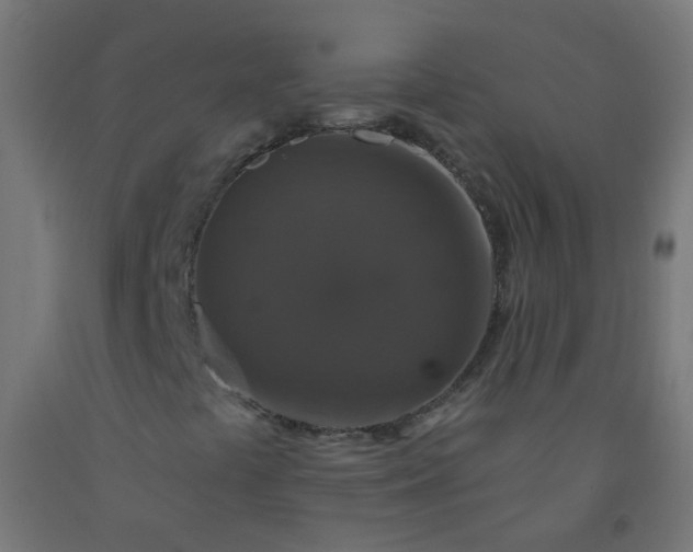 X0000092321441200709281357