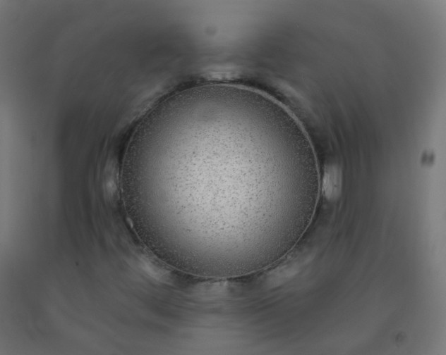X0000092321444200709281357