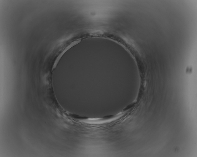 X0000092321445200709281357