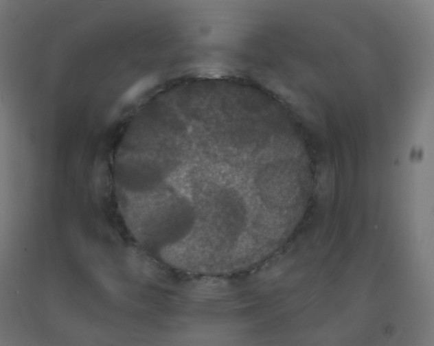 X0000092321446200709281357