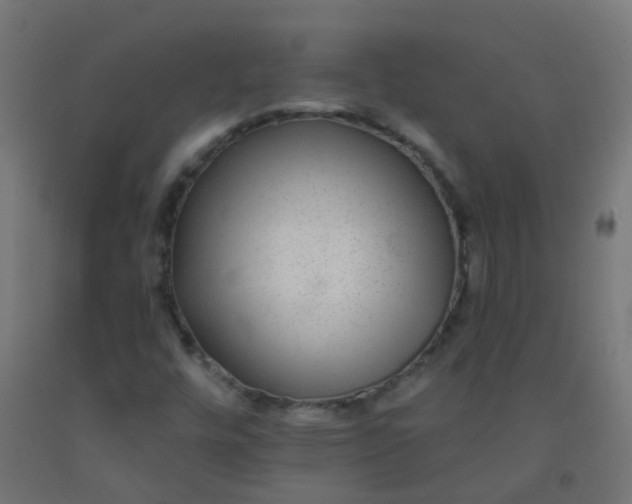 X0000092321448200709281357
