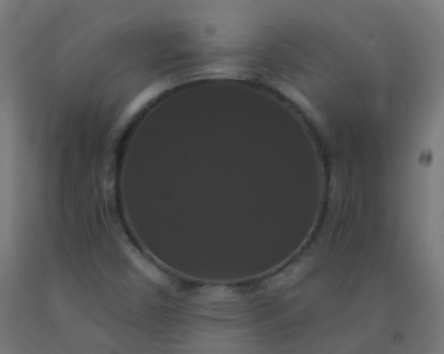 X0000092321450200709281357