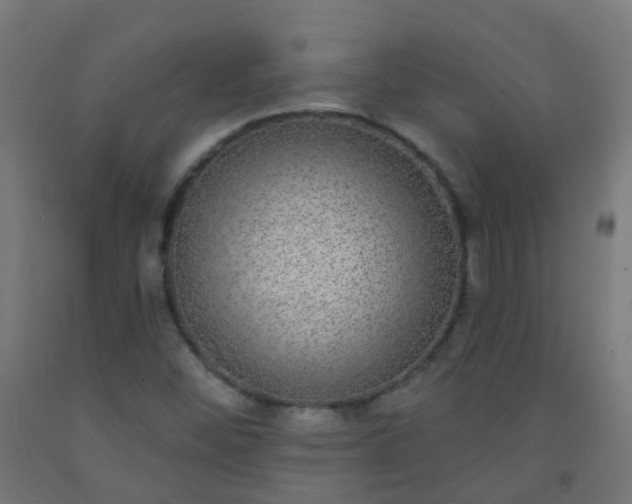 X0000092321452200709281357