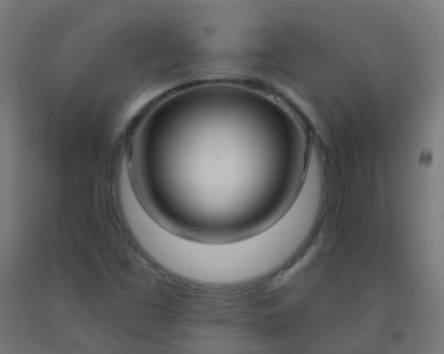 X0000092321453200709281357