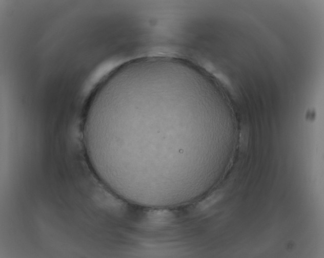 X0000092321454200709281357