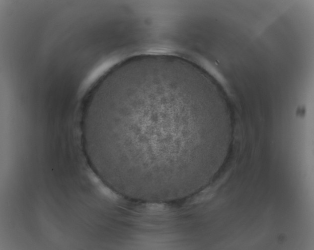 X0000092321456200709281357