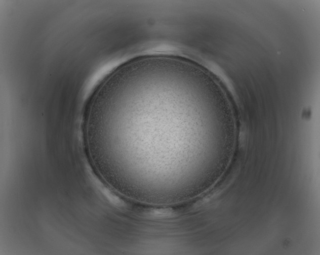 X0000092321464200709281356