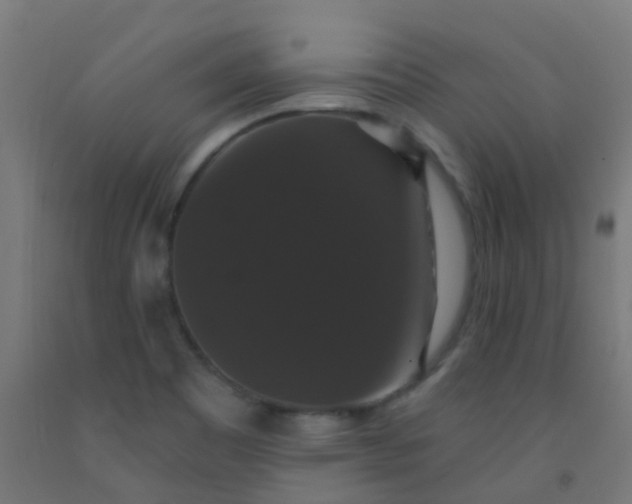 X0000092321465200709281356