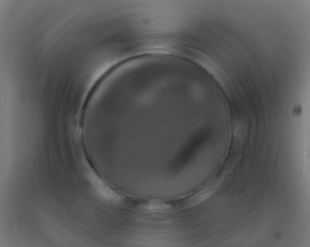 X0000092321466200709281356