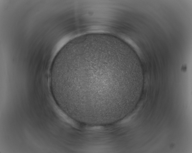 X0000092321467200709281356