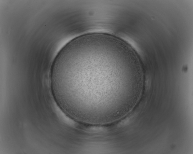X0000092321468200709281356