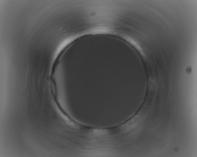 X0000092321469200709281356