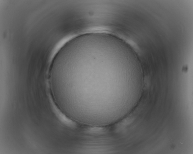 X0000092321470200709281356