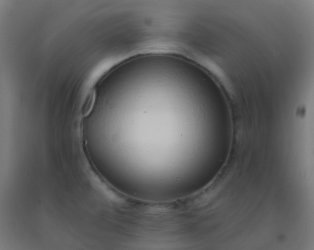 X0000092321472200709281356