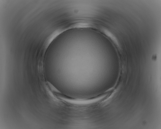 X0000092321473200709281356