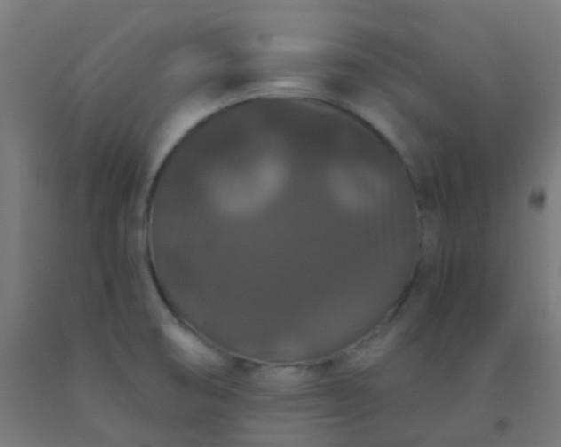 X0000092321474200709281356