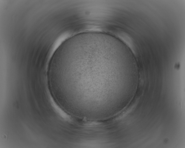 X0000092321475200709281356