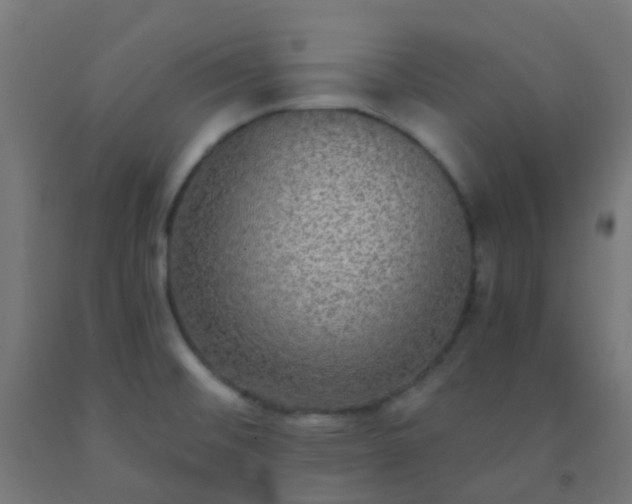 X0000092321476200709281356