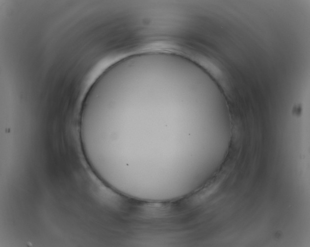 X0000092321478200709281356