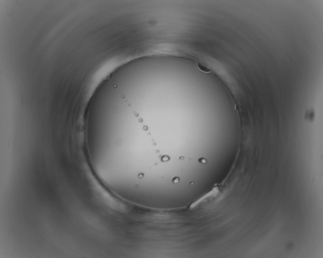 X0000092321479200709281356