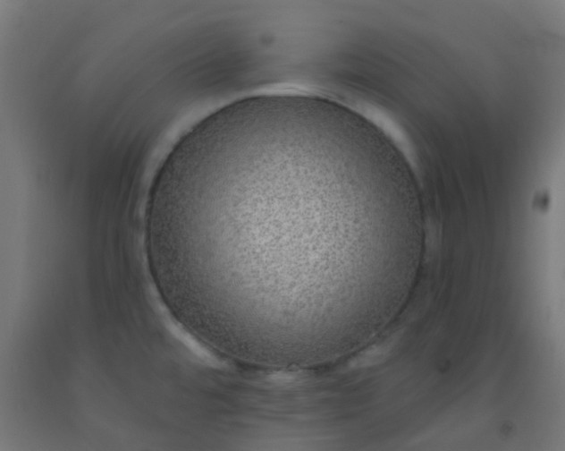 X0000092321480200709281356